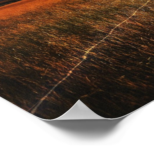 Blitzschlagbaum Poster (Ecke)