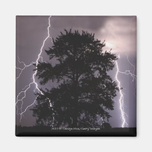 Blitzschläge im Himmel hinter einem Baum Magnet
