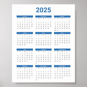 Bliue and White 2025 Year at a Glance Calance Poster