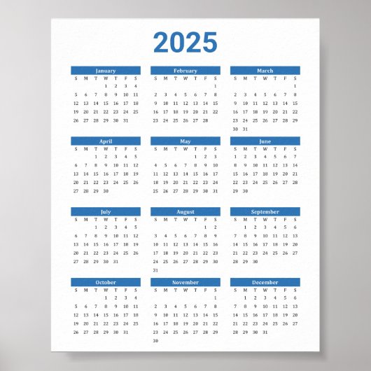 Bliue and White 2025 Year at a Glance Calance Poster (Vorne)