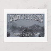 Blizzard 2010 postkarte (Vorderseite)
