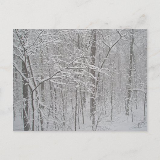 Blizzard im Februar 2010 Postkarte (Vorderseite)