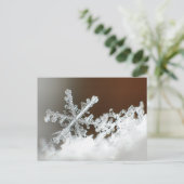 Blizzard of 2009 postkarte (Stehend Vorderseite)