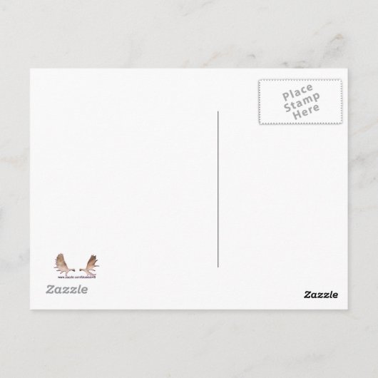 Blizzard Postkarte (Rückseite)