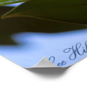 Blizzard Sky Southern Magnolia Poster Print (Ecke)