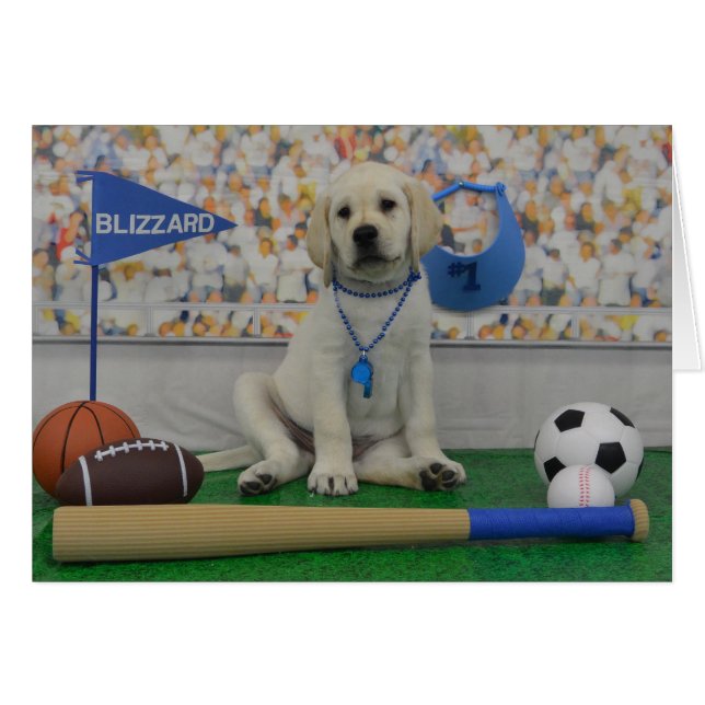 Blizzard-Sport-Karte (Vorderseite (Horizontal))