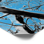 Blizzard Squirel B+W Poster (Ecke)