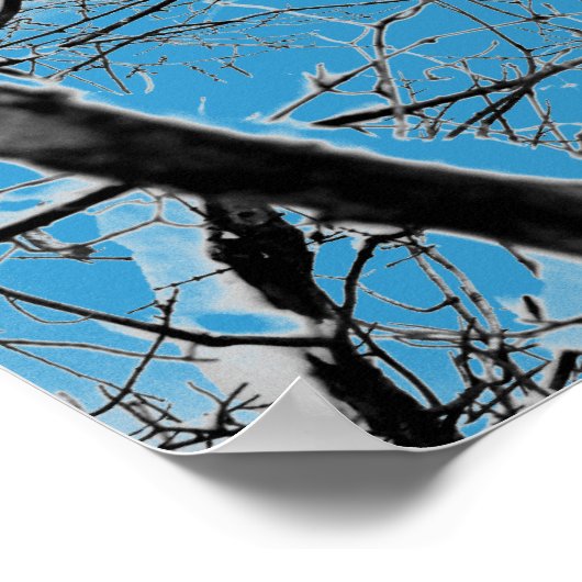 Blizzard Squirel B+W Poster (Ecke)