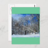 Blizzard Trees Oil Postkarte (Vorne/Hinten)