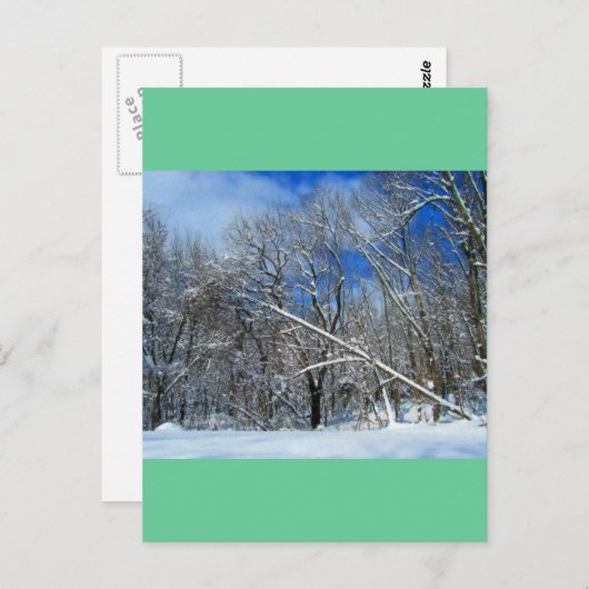 Blizzard Trees Oil Postkarte (Vorne/Hinten)