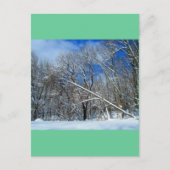 Blizzard Trees Oil Postkarte (Vorderseite)