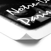 blk whgargoyle poster Notre-Dame Paris, Frankreich (Ecke)