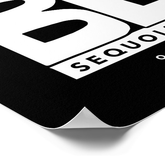 BLM-Design - 1. Platz - Ayana Sakamoto Poster (Ecke)