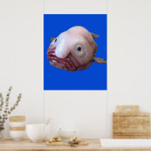 Blob Fish Poster (Küche)