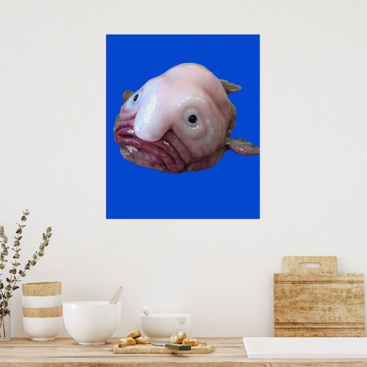 Blob Fish Poster (Küche)