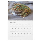 Blobbi Pacman Frog Calendar Kalender (Mär 2027)