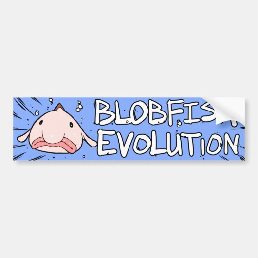 Blobfish Evolution Autoaufkleber (Vorne)