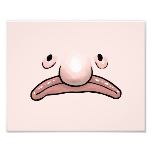 Blobfish Evolution Poster (Vorne)