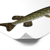 Bloch - Plakat (Ecke)