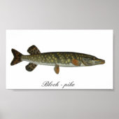 Bloch - Plakat (Vorne)