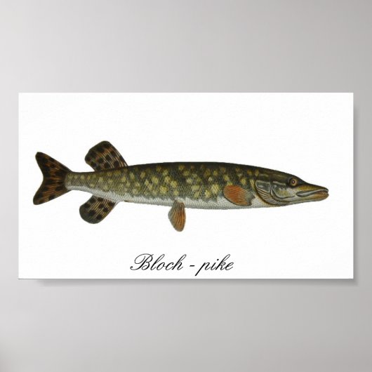 Bloch - Plakat (Vorne)