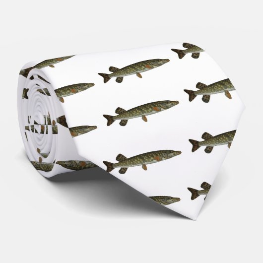 Bloch - Spieß Krawatte (Gerollt)