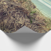 Block Island Bluff Decorative Packpapier (Ecke)