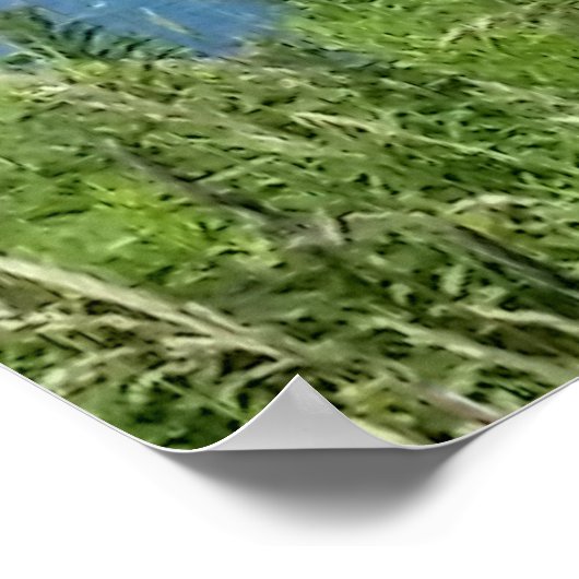 Block Island Bluffs - Block Island, Rhode Island Poster (Ecke)