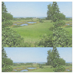 Block Island Champlin Road Meadow Stoff