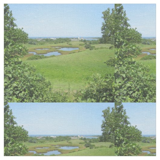 Block Island Champlin Road Meadow Stoff (Nahaufnahme)
