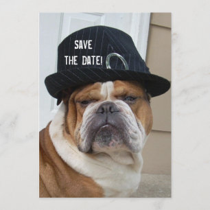 Block-Party Einladungen