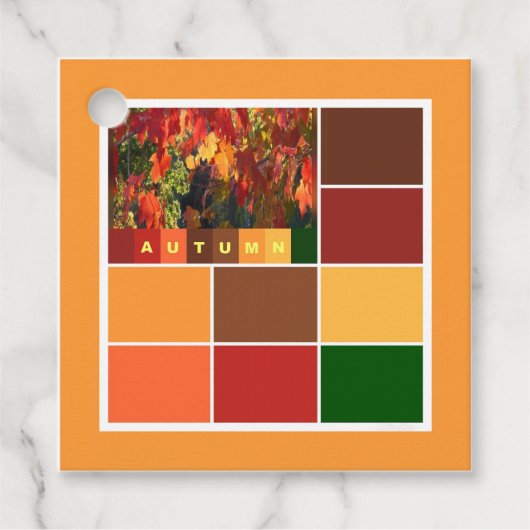 Blöcke der Herbstfarben Geschenkanhänger (Vorderseite)