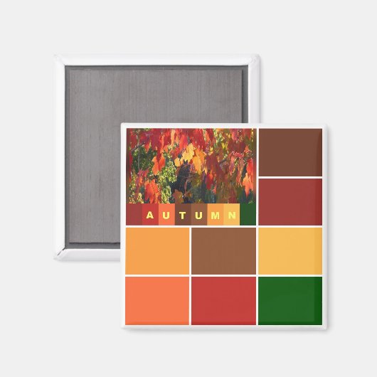 Blöcke der Herbstfarben Magnet (Vorderseite/Rückseite)