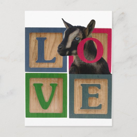 BLOCKS LIEBE ZIEGEL POSTKARTE (Vorderseite)
