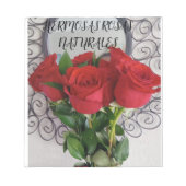 BLOCS DE  ARTES NOTIZBLOCK (Vorderseite)