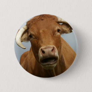 blöde kuh button