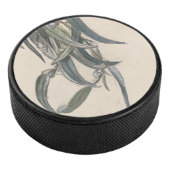 Bloeiende tak van een eucalyptus eishockey puck (3/4)