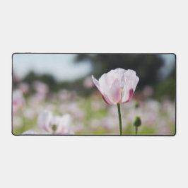 Bloemen veld met close up bloeiende lila bloem. schreibtischunterlage