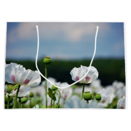 Bloemen veld, Papaver somneferum maanzaad bloem. Große Geschenktüte
