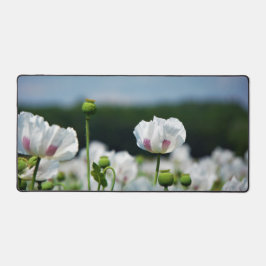 Bloemen veld, Papaver somneferum maanzaad bloem. Schreibtischunterlage