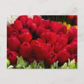 Bloemenmarkt-Blume Postkarte (Vorderseite)