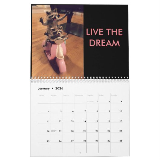 Bloggess Kalender 2017 (Jan 2026)