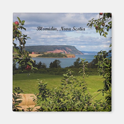 Blomidin, Nova Scotia, Kanada Magnet (Vorne)