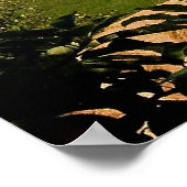 Blomidin, Nova Scotia, Kanada Poster (Ecke)