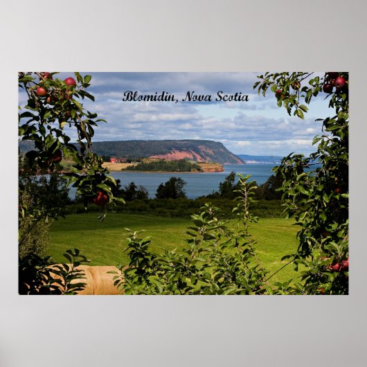 Blomidin, Nova Scotia, Kanada Poster (Vorne)