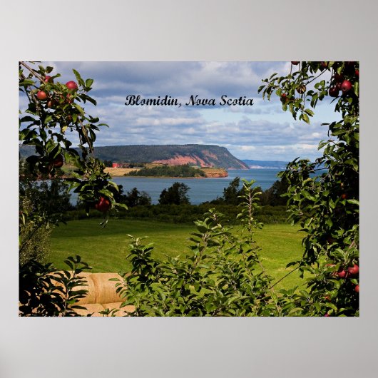 Blomidin, Nova Scotia, Kanada Poster (Vorne)