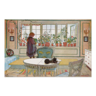 Blomsterfönstret von Carl Larsson Poster