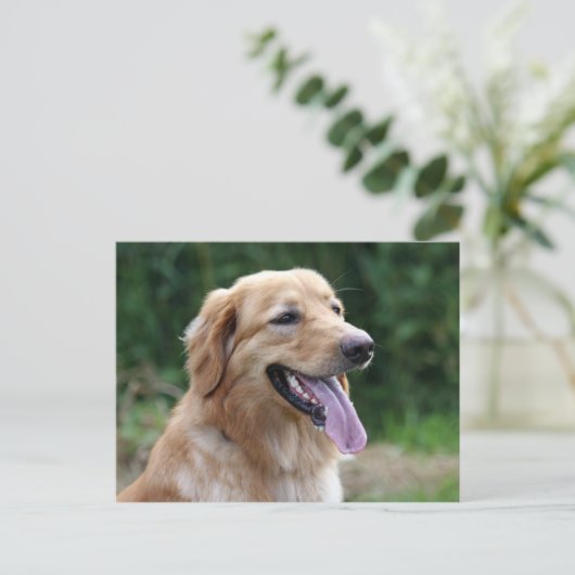 Blond Hovawara Postkarte (Stehend Vorderseite)