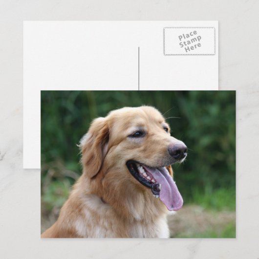 Blond Hovawara Postkarte (Vorne/Hinten)