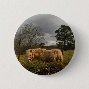 Blond Miniature Pony / Pferd Button